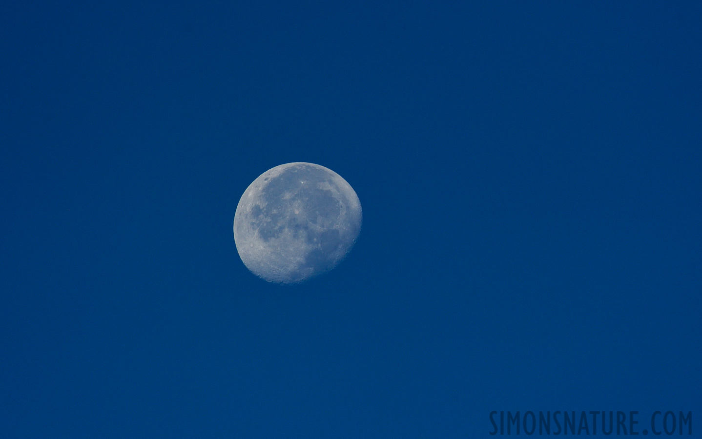 Ebrodelta [550 mm, 1/2500 Sek. bei f / 7.1, ISO 1600]